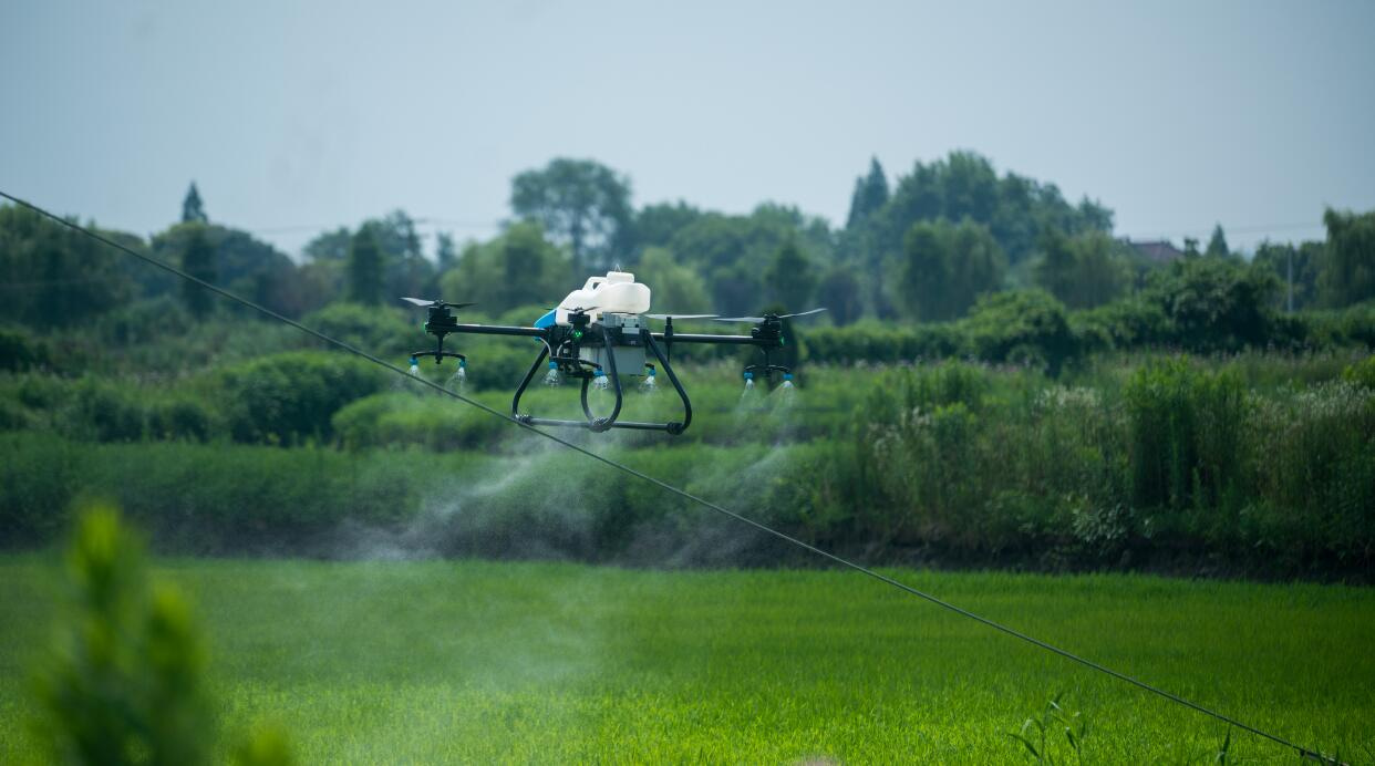 遼寧省営口市の19万エーカーの米の害虫や病気を駆除するために配備されたBEONDT散布ドローン